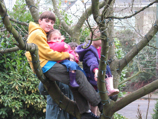 Alan and company in a tree, 2004